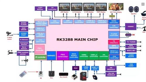 瑞芯微电子股份 深耕计算机软件技术开发与销售，赋能智能未来