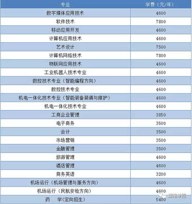 湖南省单招考试报考计算机、软件类专业院校与重点推荐—聚焦技术开发与销售